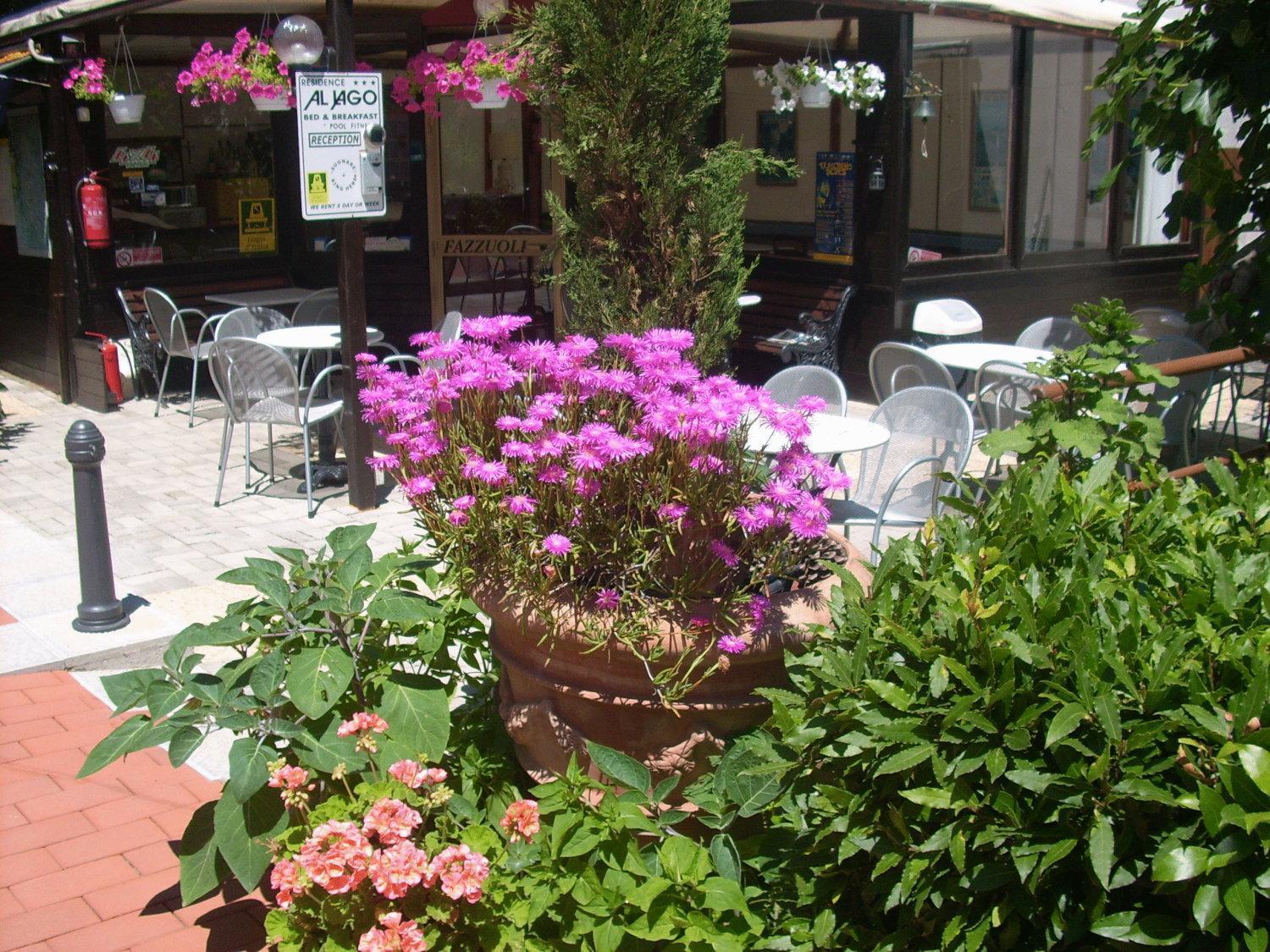 Residence Al Lago Castiglione del Lago Exterior photo