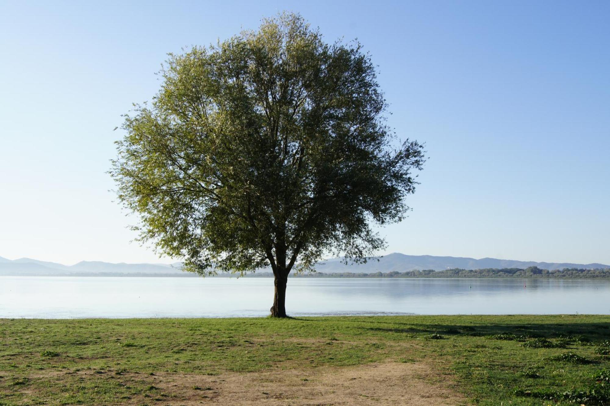 Residence Al Lago Castiglione del Lago Exterior photo