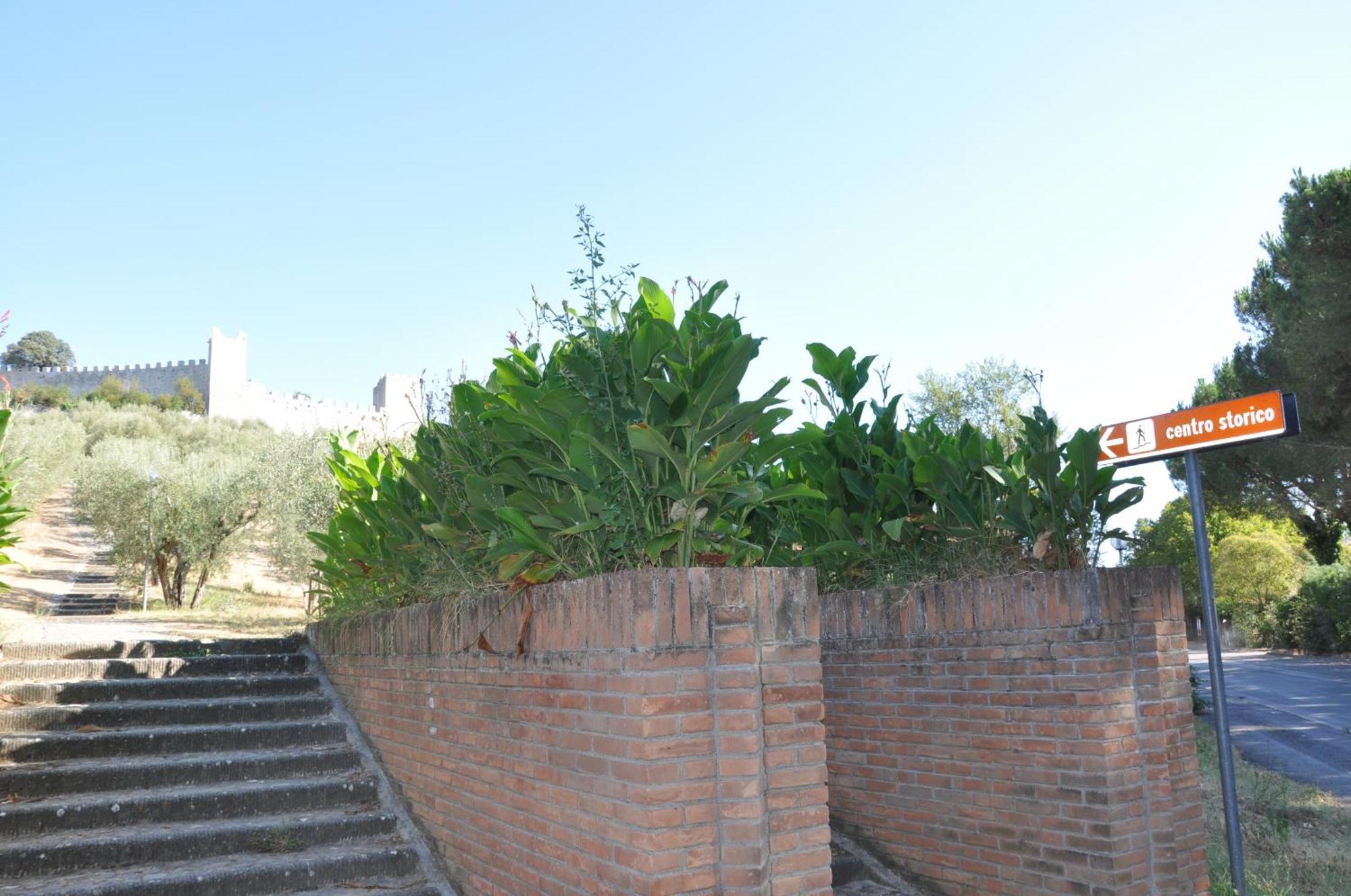 Residence Al Lago Castiglione del Lago Exterior photo